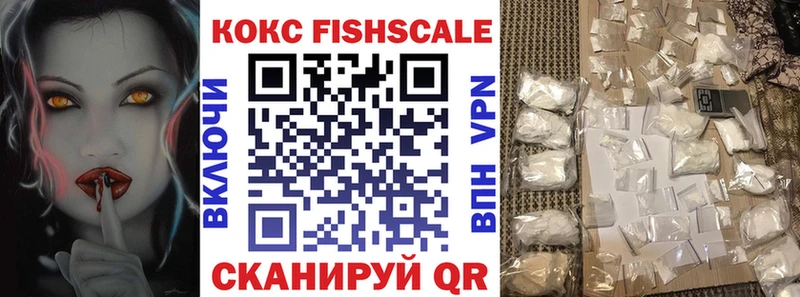 Купить  Нижний Ломов  КОКАИН FishScale 